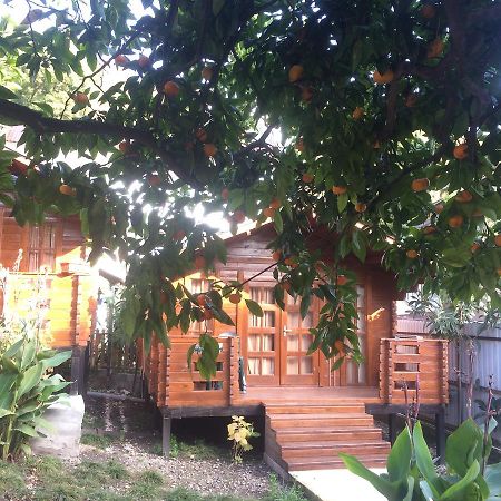 Cottage house New Athos Bagian luar foto