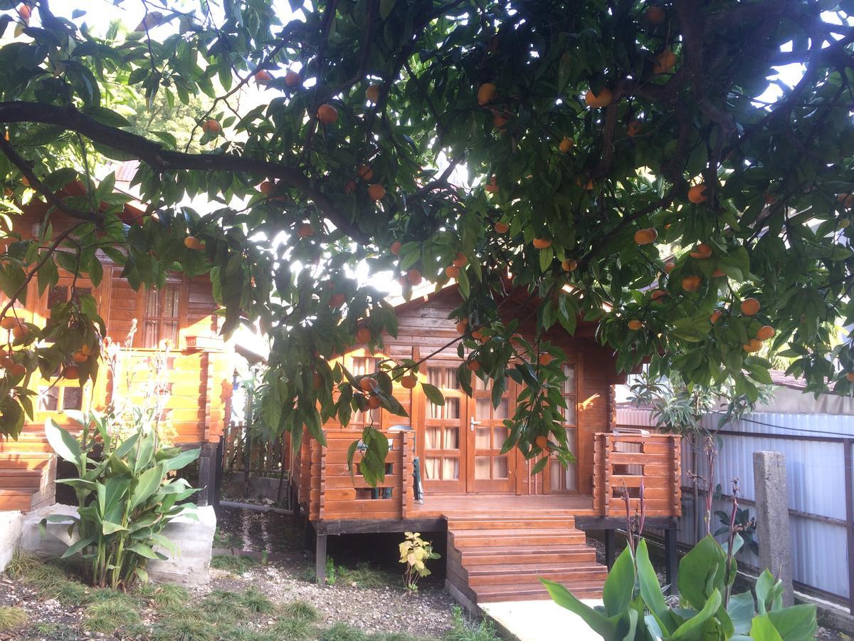 Cottage house New Athos Bagian luar foto